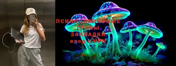 мдпв Богородицк