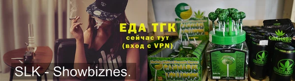мдпв Богородицк