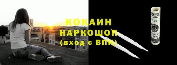 мдпв Богородицк