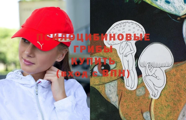 шишки Богданович
