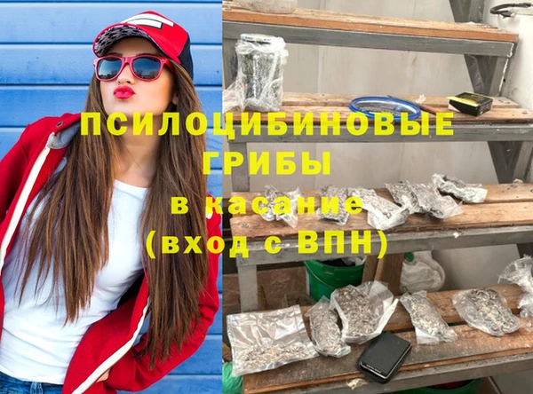 шишки Богданович