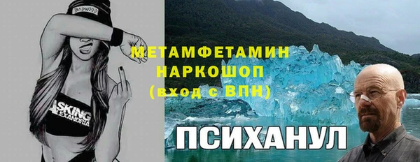 мдпв Богородицк