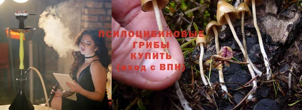 мдпв Богородицк