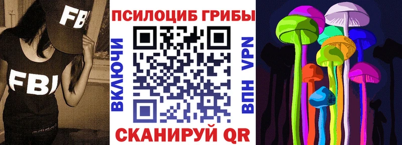 Галлюциногенные грибы Psilocybe Копейск